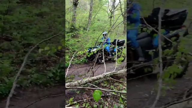 Квадроциклы CFmoto 600 покатушки экскурсия Адыгея Хамышки
