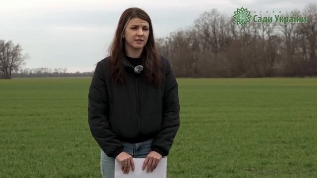 Фінальні результати порівняння зимостійкості сортів