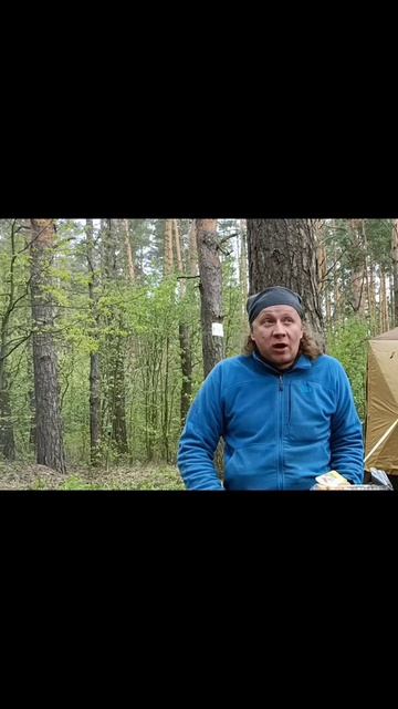 занимательные истории из физики лесные посиделки