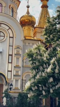 🇷🇺 Вокзал, который снова живёт!
Атмосфера настоящего Донецка,
— в каждом кадре 😍