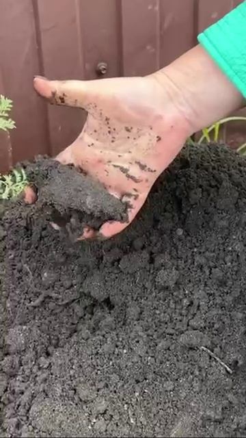Что делать с розой после покупки 

Эти шаги помогут для вашего растения.