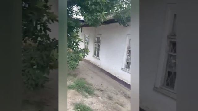 Поздравляем с днём рождения Зарему.