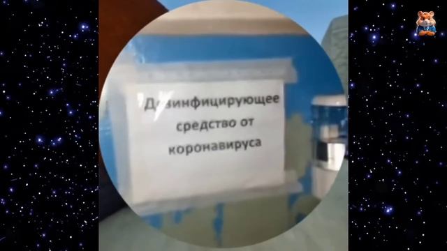 Я РЖАЛ ДО СЛЕЗ😂 15 Минут ОТБОРНЫХ ПРИКОЛОВ 2025 Смешные ?
