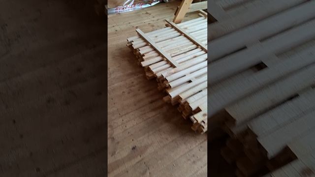 1000024108.mp4 (Собака наблюдает за проверкой плоскости каркаса для эмитации бруса внутри дома)
