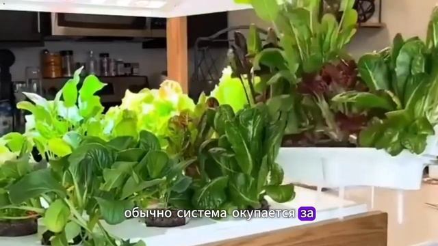 ВЫ ТРАВИТЕ СВОЮ СЕМЬЮ КАЖДЫЙ ДЕНЬ? 🚨 ШОК! Как скрытое ХИМИЧЕСКОЕ ОРУЖИЕ попадает в вашу тарелку