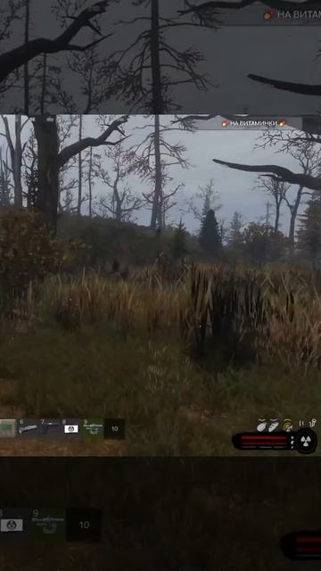 АНОМАЛИЯ ТРАМПЛИН DarkSky #darksky #dayz #dayzRP #stalker #stalkerrp #shorts #funny #video #anomaly