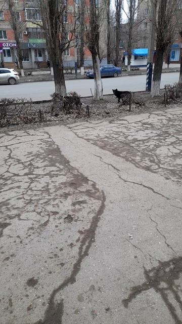 1000040204.mp420.05.2025г.