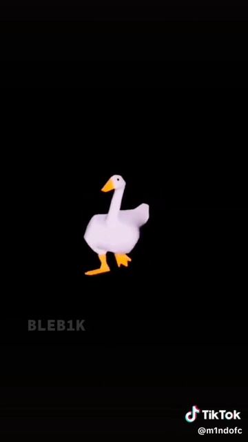 scene_output.mp4