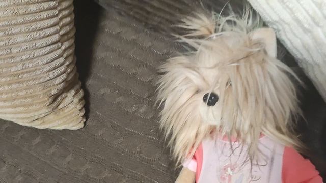 Собачки Lucky Doggy в поезде
