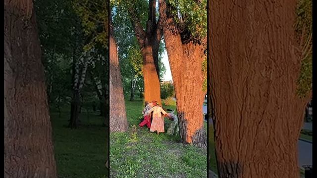 Росы из глаз в могучих Тополях! (хороводы)