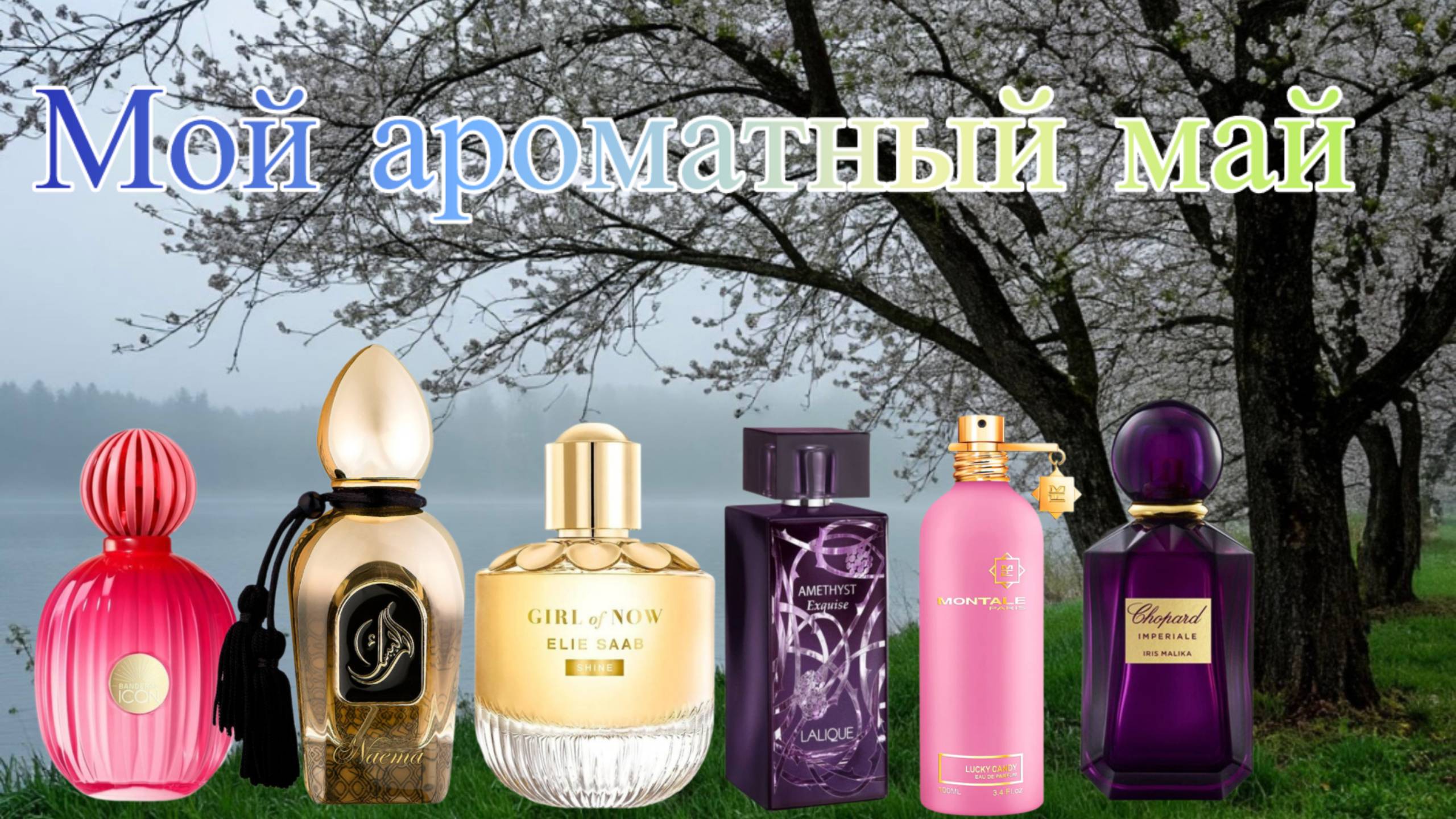 МОЙ АРОМАТНЫЙ МАЙ.