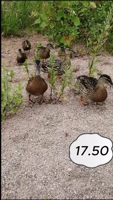 Педагоги и конец рабочего дня.