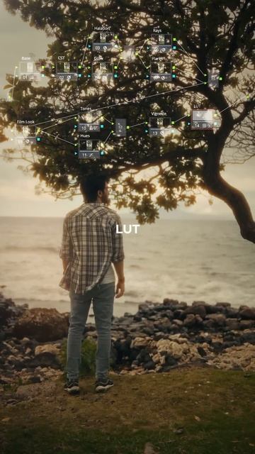 S LOG 3 & Apple ProRes LOG Color Grade for Cinematic Film Look - Davinci Resolve 19 📸