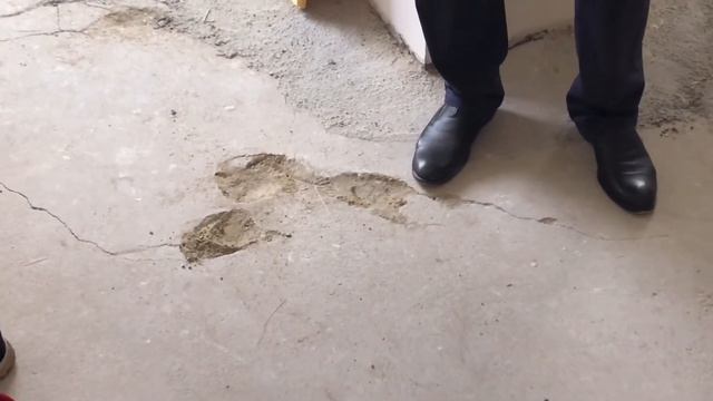 На что стоит обращать внимание при приемке квартиры у застройщика, советы от Дмитрия Шалашного