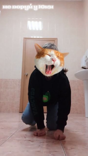 видосик от Юки🫶🏻🤎