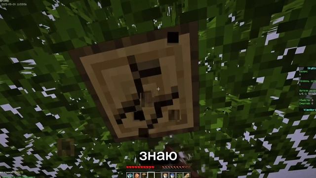 SkyBlock #1