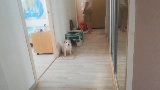 мой 2 видео блок