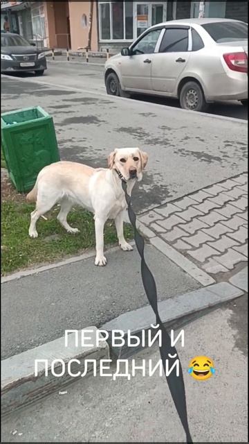 Утренние пробежки