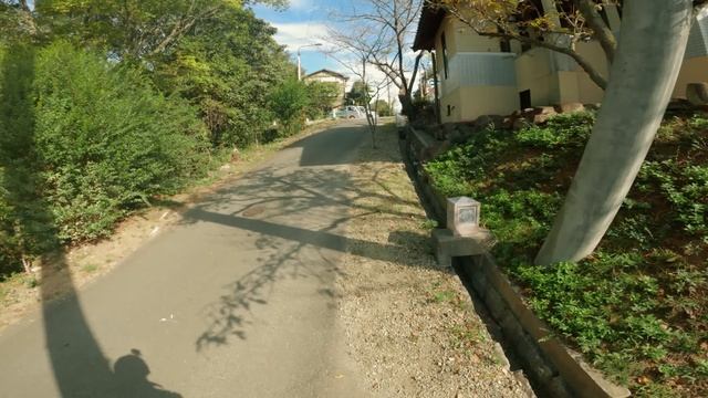 Calm film photography in a quiet Japanese town.