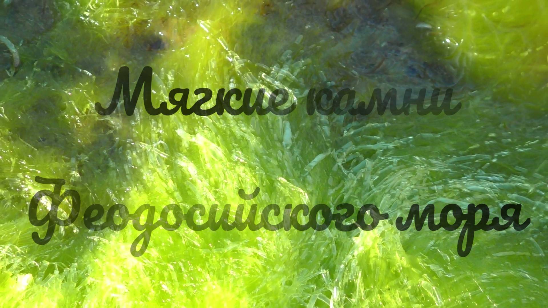Мягкие камни Феодосийского моря