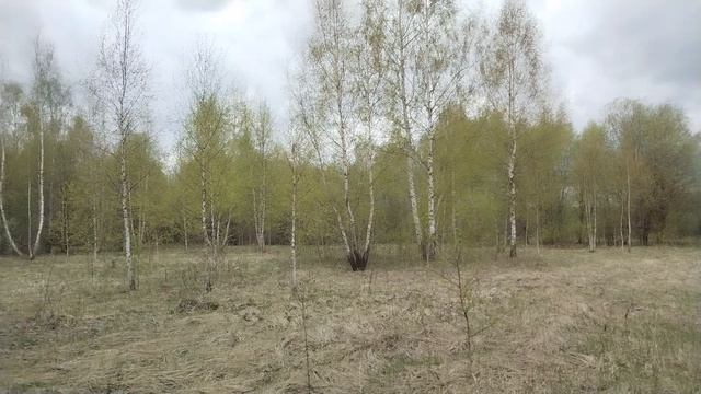 торги д Богданово 50:04:0240302:723