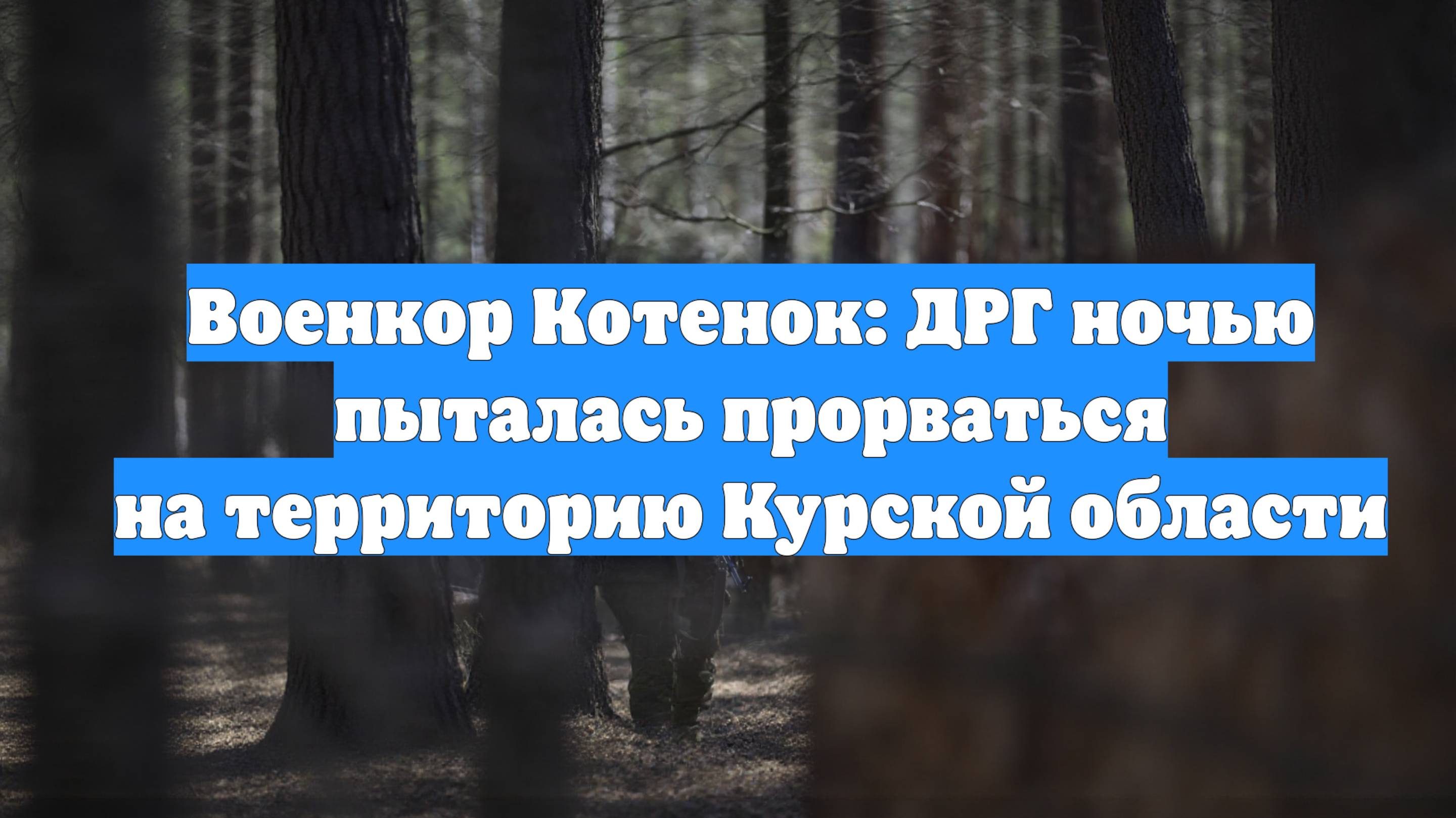 Военкор Котенок: ДРГ ночью пыталась прорваться на территорию Курской области