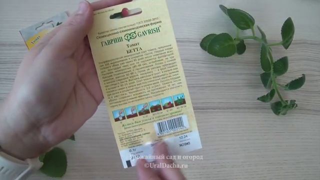 Вырастила один раз низкорослые томаты, и не смогла больше от них отказаться. Лучший топ томатов