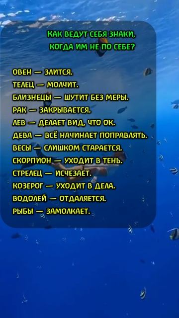 Как ведут себя знаки, когда им не по себе? 👇