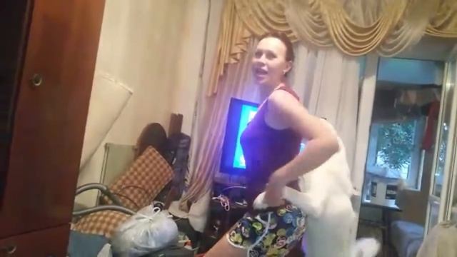 Хаски хулиганьё 4