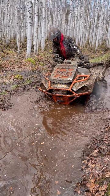 Квадрик