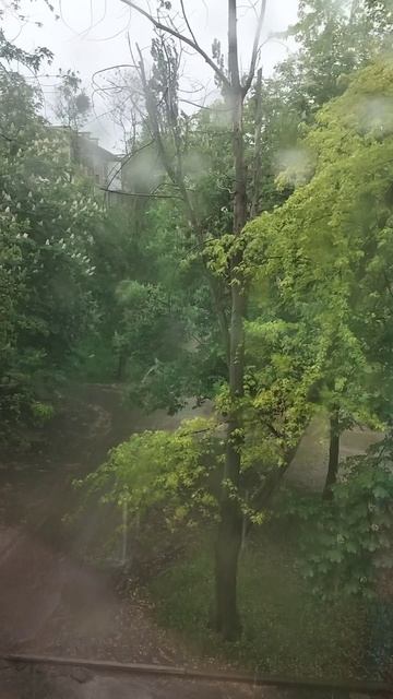 Дождь в Луганске