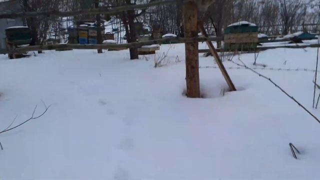Поездка на пасеку на мотобуксировщике ФОРЗА 7л.с.