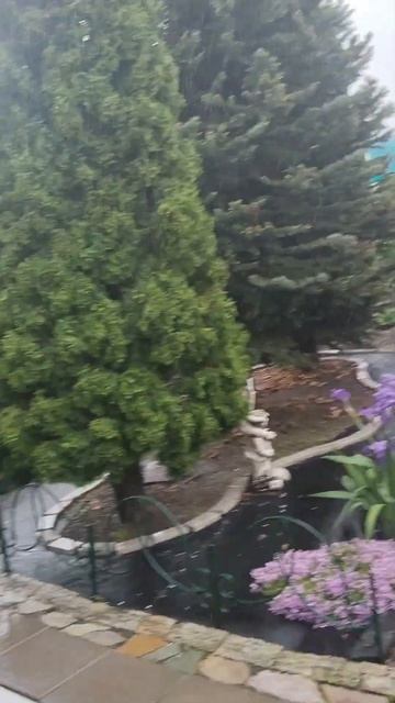 Пришёл негаданно нежданно