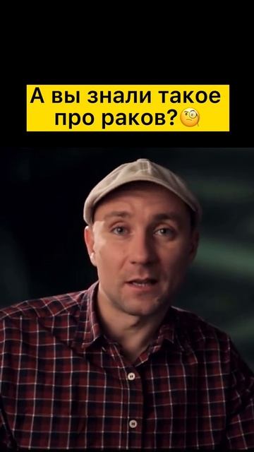 А вы знали?
