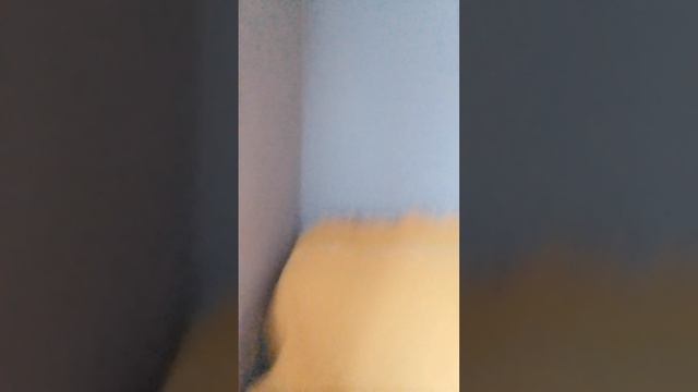 пародия на Лунтика немного стыбзил у kedlin не судите строго!!!