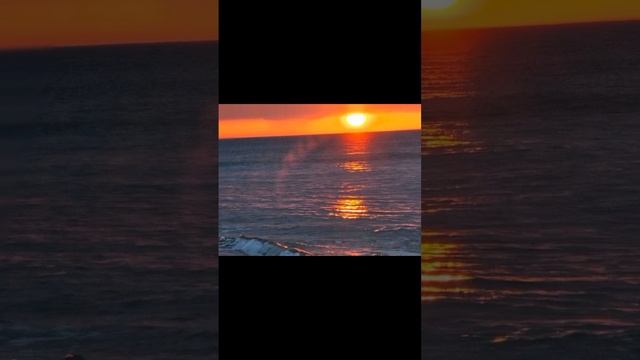 1000197698.mp4