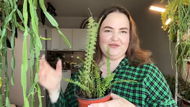 НОВЫЕ РАСТЕНИЯ | Как выглядят РАСТЕНИЯ купленные ЗИМО?