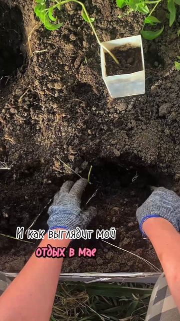 ну вот как то так выглядит мой отдых в мае 😂