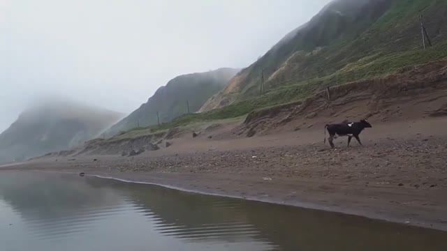 Невельский район / за Шебунино / 20 мая