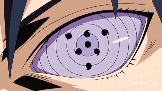 я возьму всех хвостатых чудещ под свой контроль...