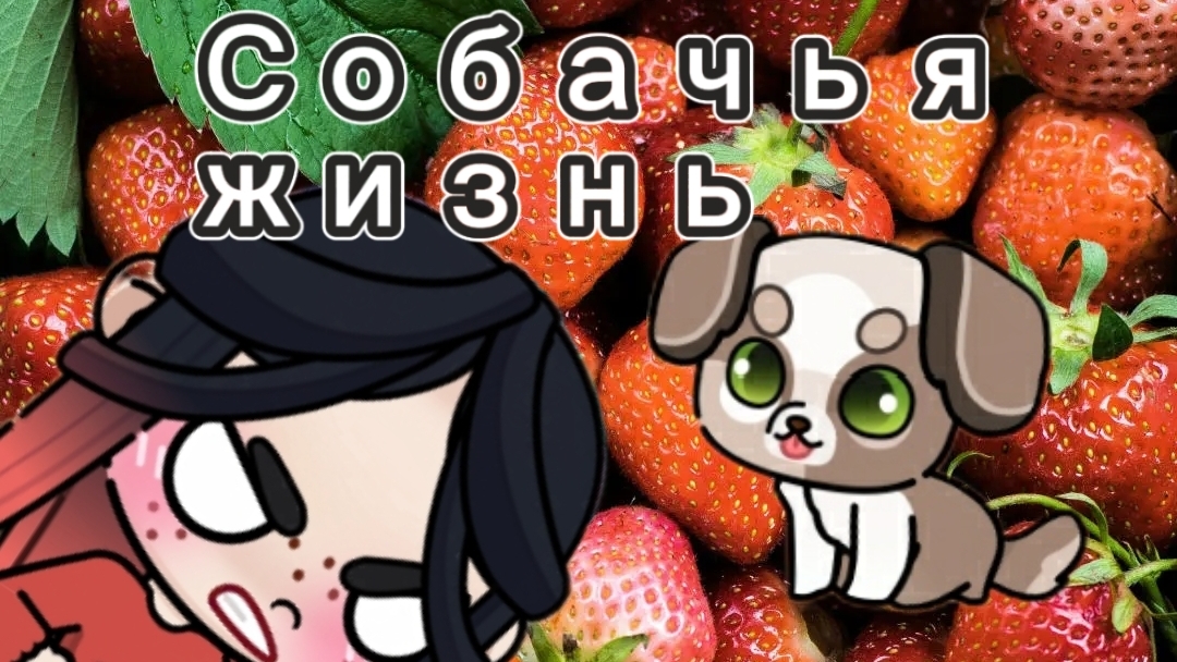 Собачья жизнь.🐕2 серия.
