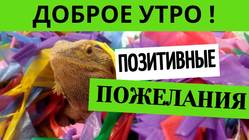 Доброе утро позитивные пожелания