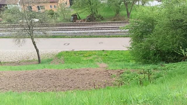 Сайбель Катя. Любимая Мартуся. Обзор влогов.  25 06 2024 Сайбель