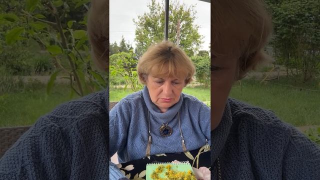 Сныть ! Секрет одуванчика раскрыт !!!