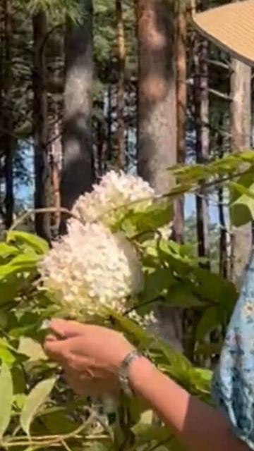 Модное платье #платья #моднаяодежда #розы #мода #1000Плат