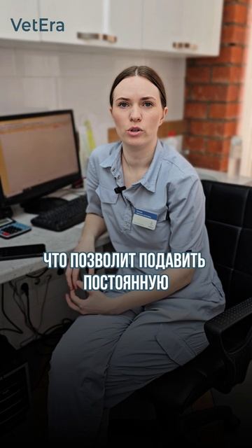 Эпилептический статус.mp4