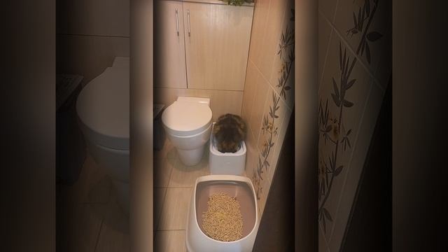 Калейдоскоп