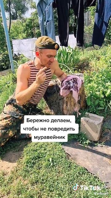 Помощь в лесу