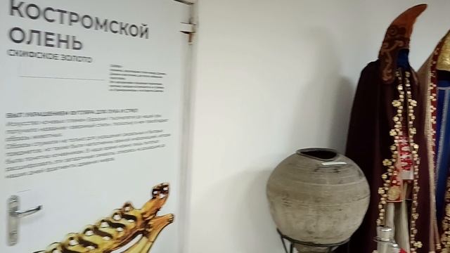 Супер Толя в музее Фелицына. Краснодар.