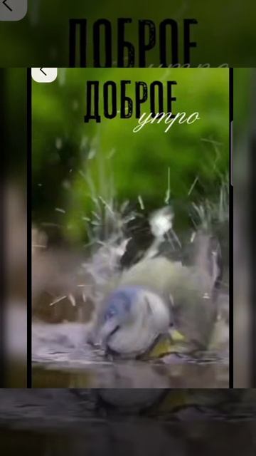 Доброе утро #доброеутро #благодарность